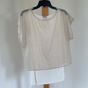Express Shimmery Sheer Tunic Tee